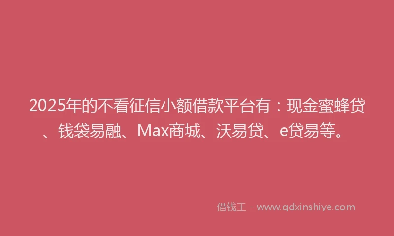 2025年的不看征信小额借款平台有：现金蜜蜂贷、钱袋易融、Max商城、沃易贷、e贷易等。