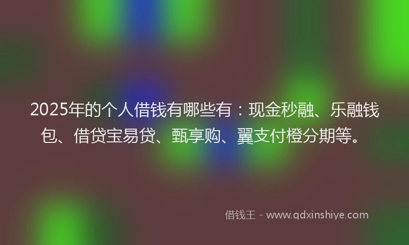 2025年的个人借钱有哪些有：现金秒融、乐融钱包、借贷宝易贷、甄享购、翼支付橙分期等。