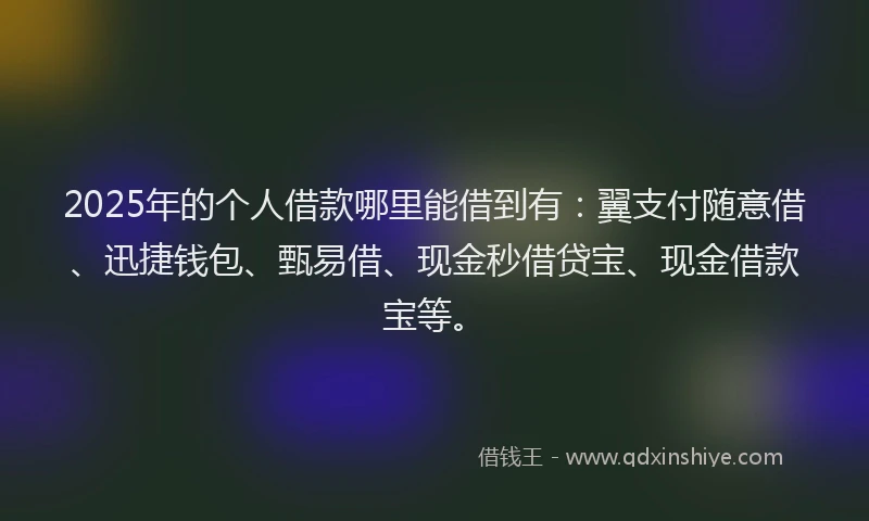 2025年的个人借款哪里能借到有：翼支付随意借、迅捷钱包、甄易借、现金秒借贷宝、现金借款宝等。