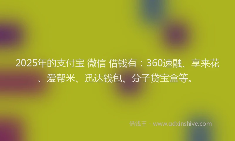 2025年的支付宝 微信 借钱有：360速融、享来花、爱帮米、迅达钱包、分子贷宝盒等。