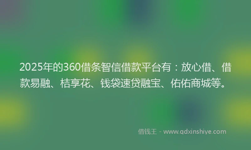 2025年的360借条智信借款平台有：放心借、借款易融、桔享花、钱袋速贷融宝、佑佑商城等。