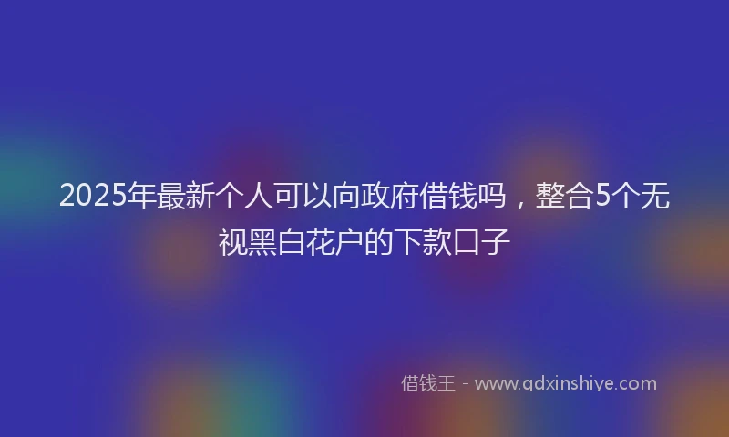 2025年最新个人可以向政府借钱吗，整合5个无视黑白花户的下款口子