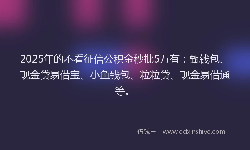 2025年的不看征信公积金秒批5万有：甄钱包、现金贷易借宝、小鱼钱包、粒粒贷、现金易借通等。