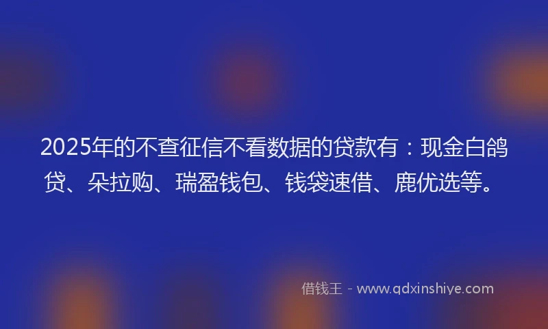 2025年的不查征信不看数据的贷款有：现金白鸽贷、朵拉购、瑞盈钱包、钱袋速借、鹿优选等。