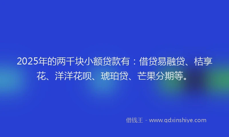 2025年的两千块小额贷款有：借贷易融贷、桔享花、洋洋花呗、琥珀贷、芒果分期等。