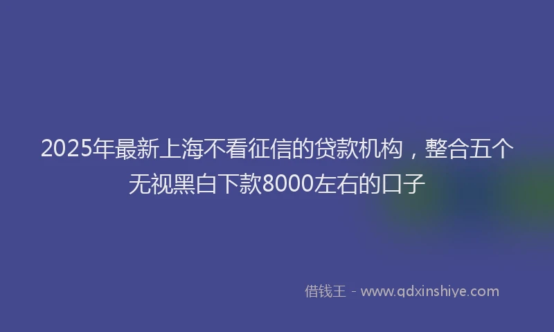 2025年最新上海不看征信的贷款机构，整合五个无视黑白下款8000左右的口子