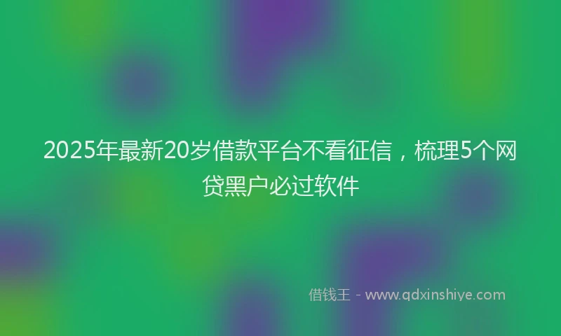 2025年最新20岁借款平台不看征信，梳理5个网贷黑户必过软件