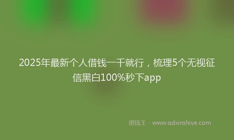 2025年最新个人借钱一千就行，梳理5个无视征信黑白100%秒下app