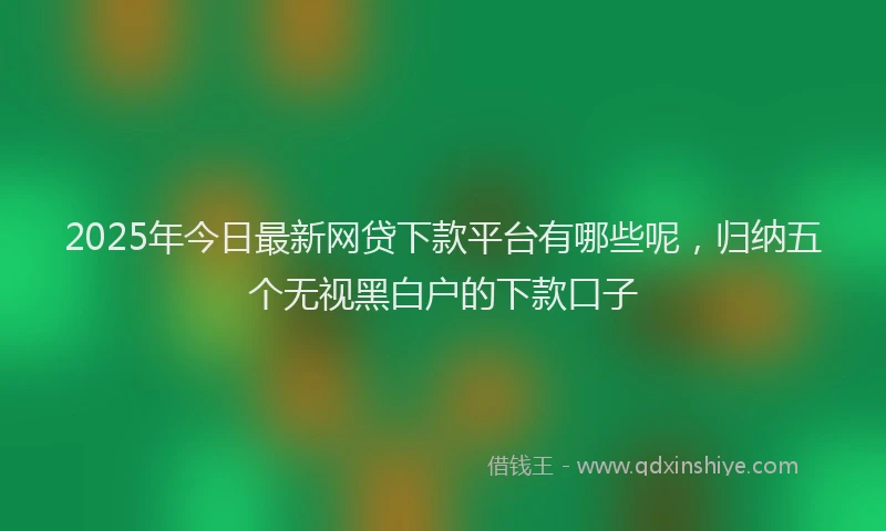 2025年今日最新网贷下款平台有哪些呢，归纳五个无视黑白户的下款口子