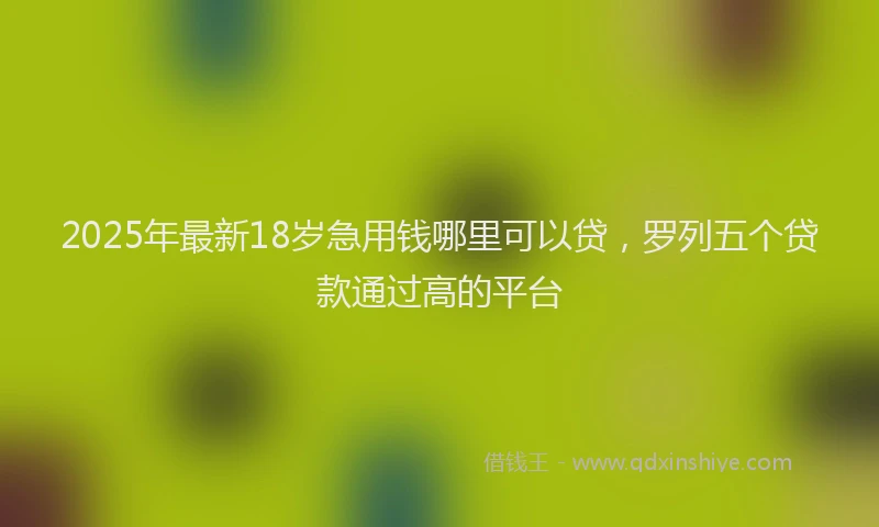 2025年最新18岁急用钱哪里可以贷，罗列五个贷款通过高的平台