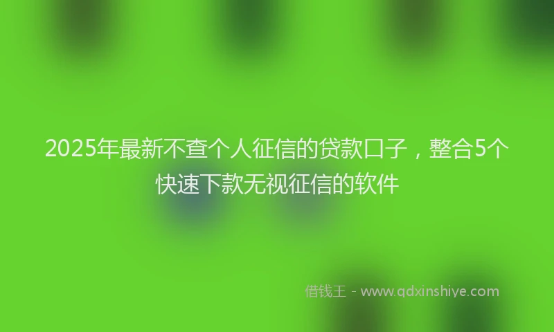 2025年最新不查个人征信的贷款口子，整合5个快速下款无视征信的软件