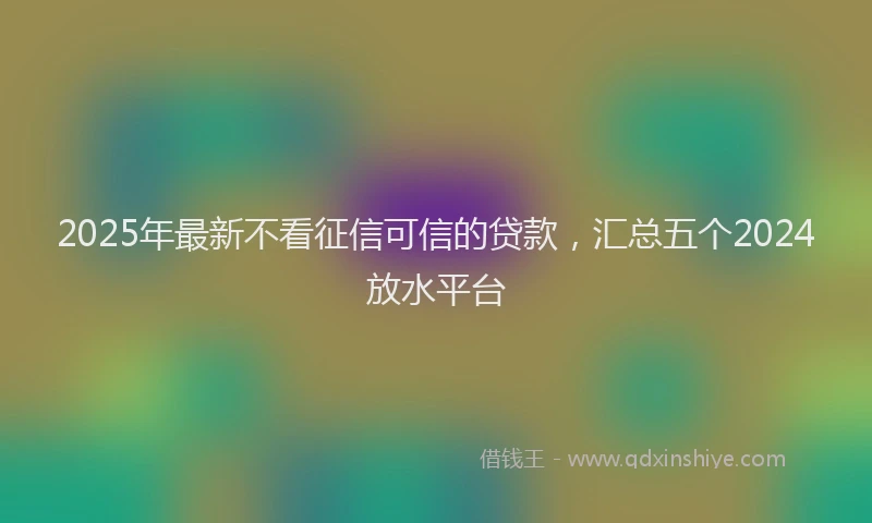 2025年最新不看征信可信的贷款，汇总五个2024放水平台