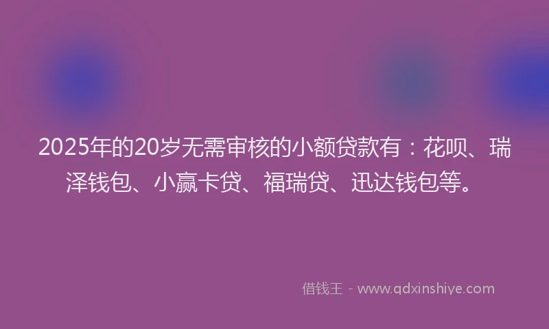 2025年的20岁无需审核的小额贷款有：花呗、瑞泽钱包、小赢卡贷、福瑞贷、迅达钱包等。