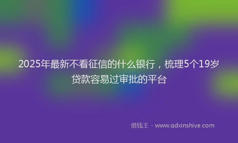 2025年最新不看征信的什么银行，梳理5个19岁贷款容易过审批的平台
