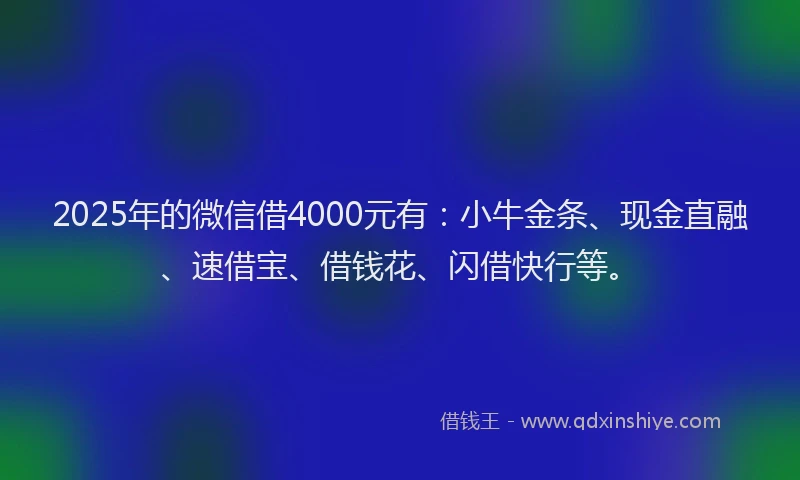 2025年的微信借4000元有：小牛金条、现金直融、速借宝、借钱花、闪借快行等。