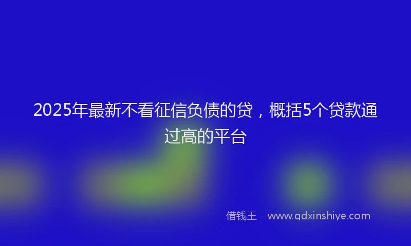 2025年最新不看征信负债的贷，概括5个贷款通过高的平台