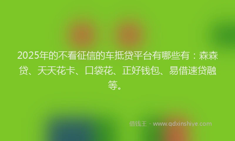 2025年的不看征信的车抵贷平台有哪些有：森森贷、天天花卡、口袋花、正好钱包、易借速贷融等。