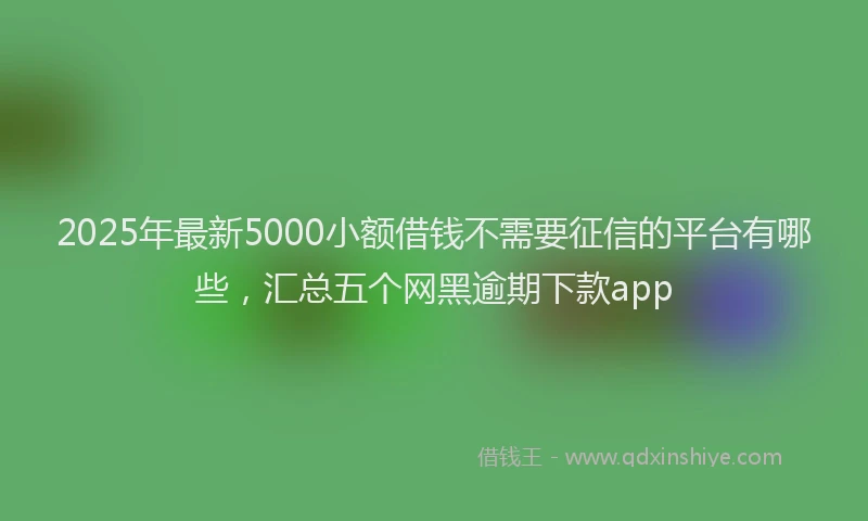 2025年最新5000小额借钱不需要征信的平台有哪些，汇总五个网黑逾期下款app