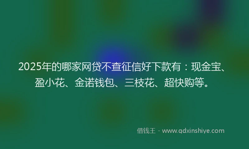 2025年的哪家网贷不查征信好下款有：现金宝、盈小花、金诺钱包、三枝花、超快购等。