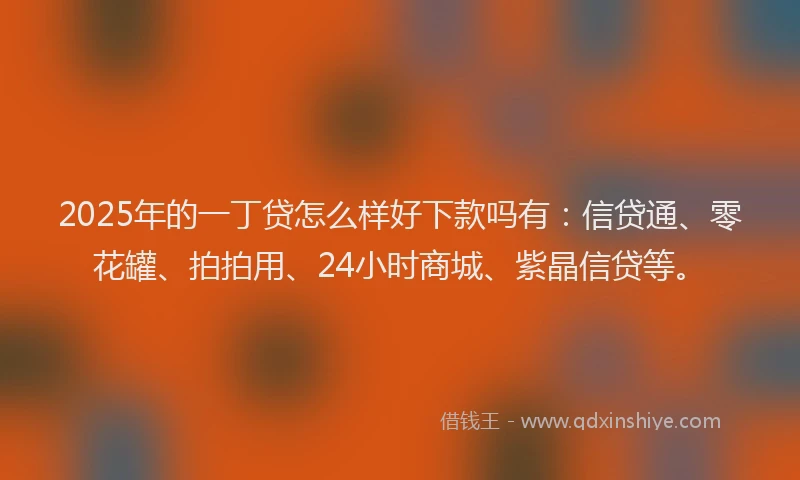 2025年的一丁贷怎么样好下款吗有：信贷通、零花罐、拍拍用、24小时商城、紫晶信贷等。