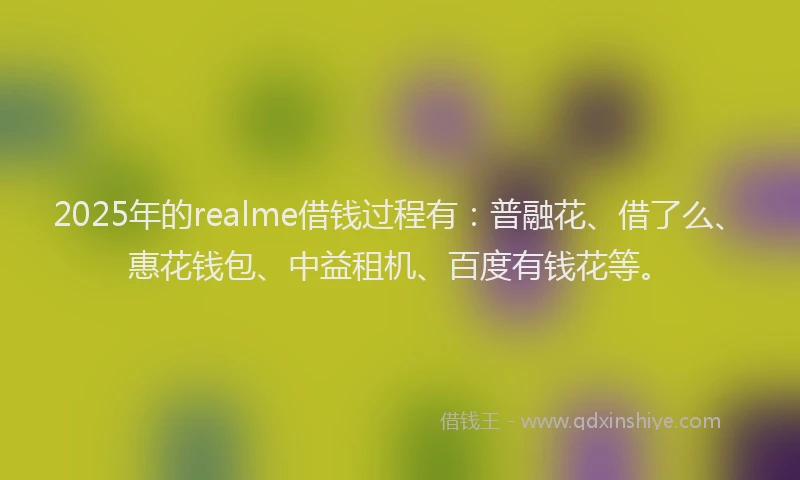 2025年的realme借钱过程有：普融花、借了么、惠花钱包、中益租机、百度有钱花等。