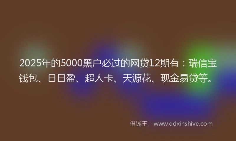 2025年的5000黑户必过的网贷12期有：瑞信宝钱包、日日盈、超人卡、天源花、现金易贷等。