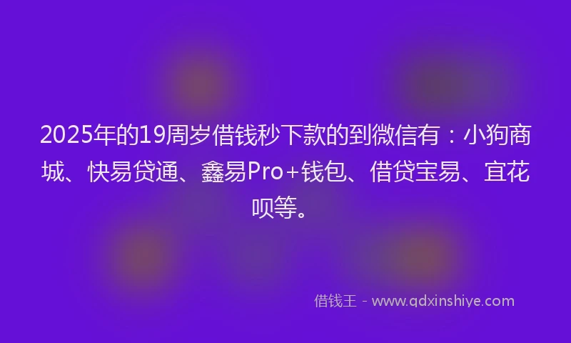 2025年的19周岁借钱秒下款的到微信有：小狗商城、快易贷通、鑫易Pro+钱包、借贷宝易、宜花呗等。