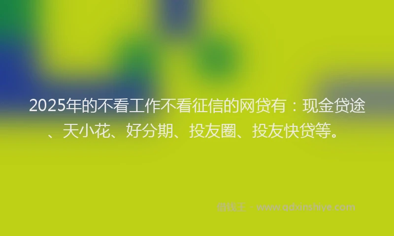 2025年的不看工作不看征信的网贷有：现金贷途、天小花、好分期、投友圈、投友快贷等。