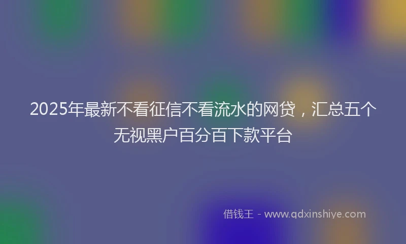 2025年最新不看征信不看流水的网贷，汇总五个无视黑户百分百下款平台