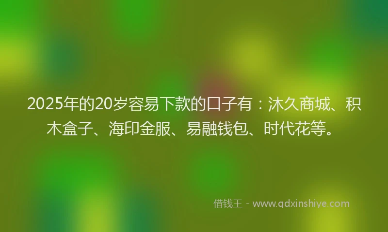 2025年的20岁容易下款的口子有：沐久商城、积木盒子、海印金服、易融钱包、时代花等。