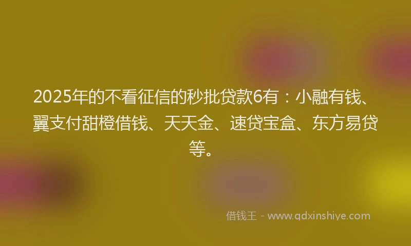 2025年的不看征信的秒批贷款6有：小融有钱、翼支付甜橙借钱、天天金、速贷宝盒、东方易贷等。