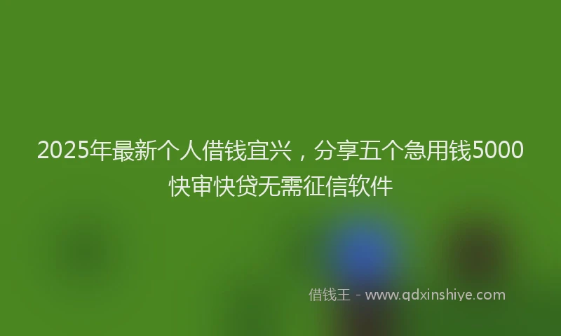 2025年最新个人借钱宜兴，分享五个急用钱5000快审快贷无需征信软件