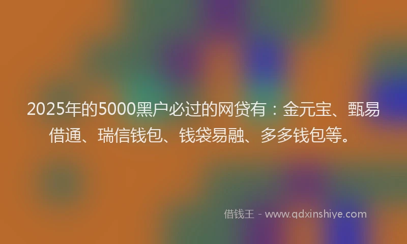 2025年的5000黑户必过的网贷有：金元宝、甄易借通、瑞信钱包、钱袋易融、多多钱包等。