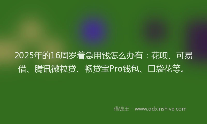 2025年的16周岁着急用钱怎么办有：花呗、可易借、腾讯微粒贷、畅贷宝Pro钱包、口袋花等。