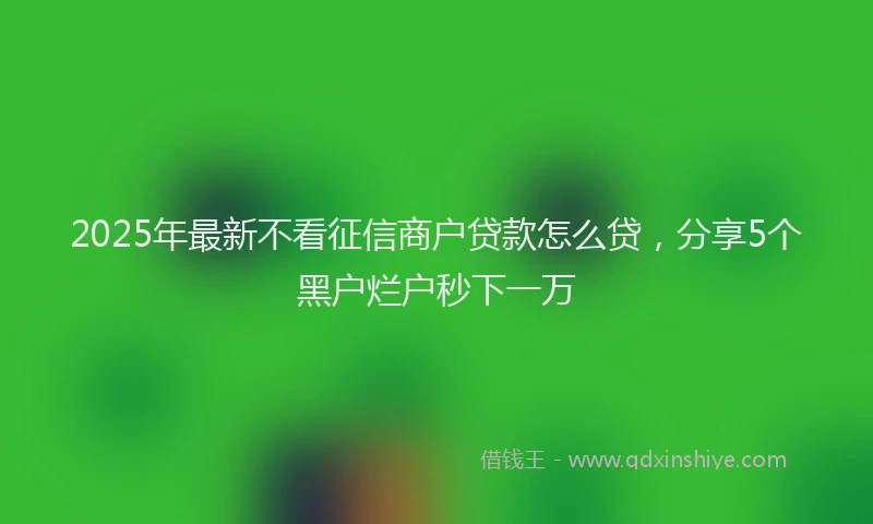 2025年最新不看征信商户贷款怎么贷，分享5个黑户烂户秒下一万