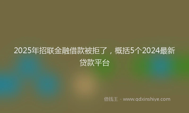 2025年招联金融借款被拒了，概括5个2024最新贷款平台