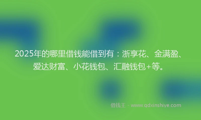 2025年的哪里借钱能借到有：浙享花、金满盈、爱达财富、小花钱包、汇融钱包+等。