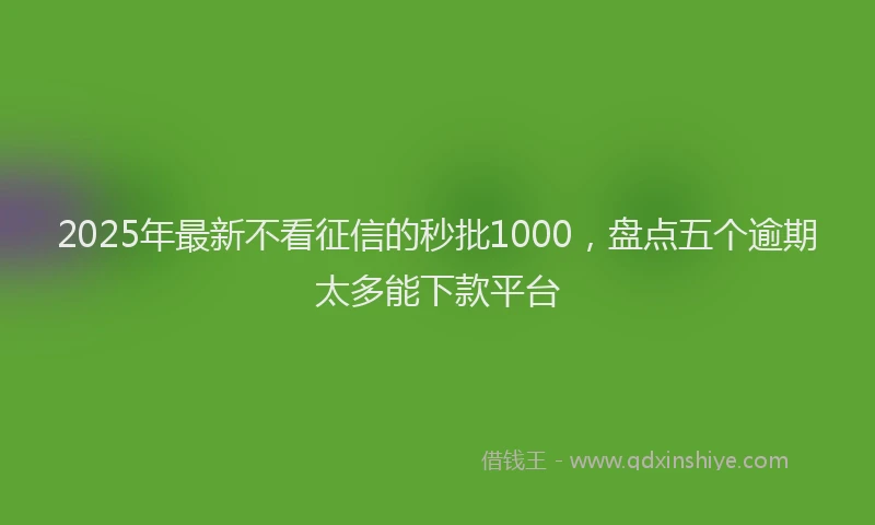 2025年最新不看征信的秒批1000，盘点五个逾期太多能下款平台