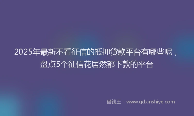 2025年最新不看征信的抵押贷款平台有哪些呢，盘点5个征信花居然都下款的平台