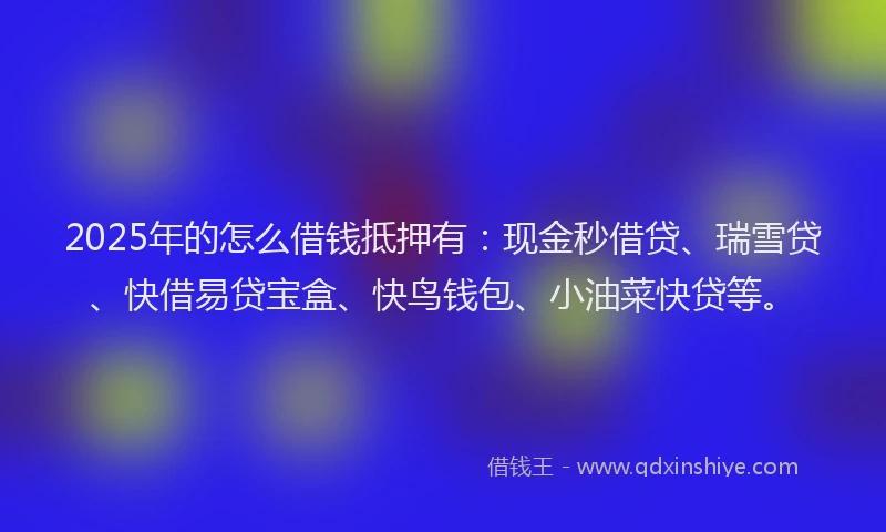 2025年的怎么借钱抵押有：现金秒借贷、瑞雪贷、快借易贷宝盒、快鸟钱包、小油菜快贷等。