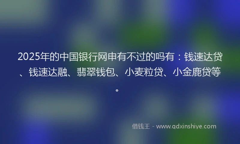 2025年的中国银行网申有不过的吗有：钱速达贷、钱速达融、翡翠钱包、小麦粒贷、小金鹿贷等。