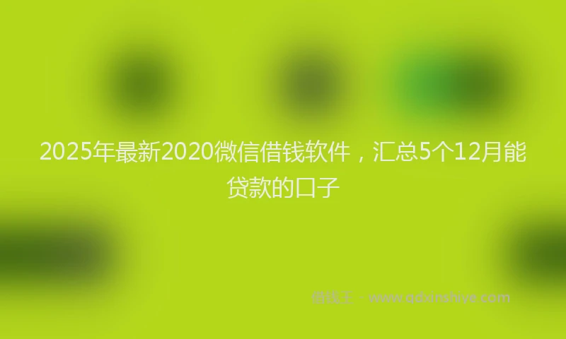 2025年最新2020微信借钱软件，汇总5个12月能贷款的口子
