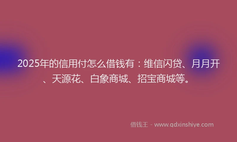 2025年的信用付怎么借钱有：维信闪贷、月月开、天源花、白象商城、招宝商城等。