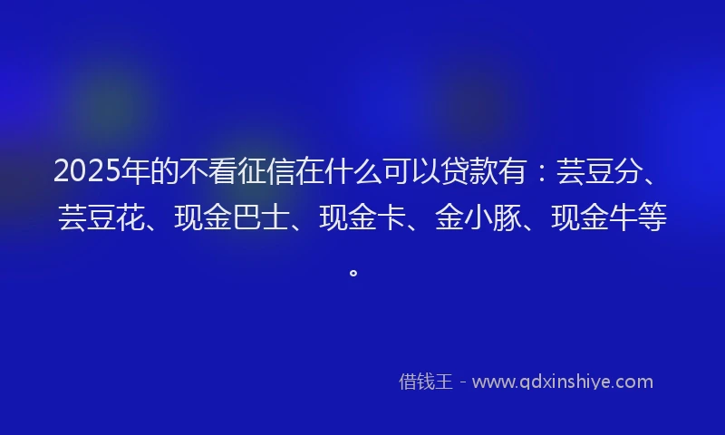 2025年的不看征信在什么可以贷款有：芸豆分、芸豆花、现金巴士、现金卡、金小豚、现金牛等。