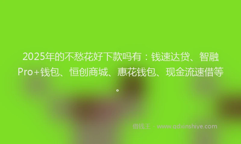 2025年的不愁花好下款吗有：钱速达贷、智融Pro+钱包、恒创商城、惠花钱包、现金流速借等。
