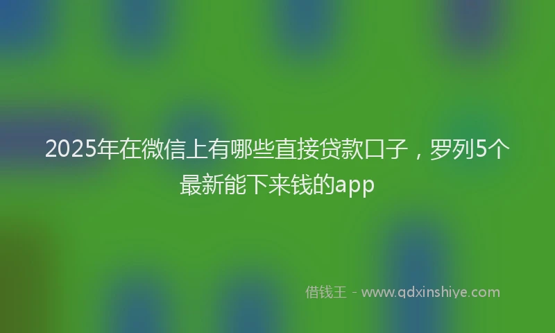 2025年在微信上有哪些直接贷款口子，罗列5个最新能下来钱的app