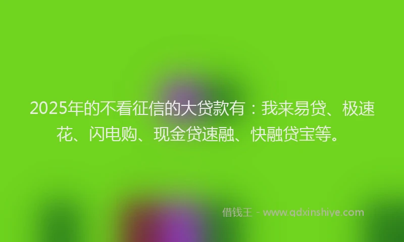 2025年的不看征信的大贷款有：我来易贷、极速花、闪电购、现金贷速融、快融贷宝等。