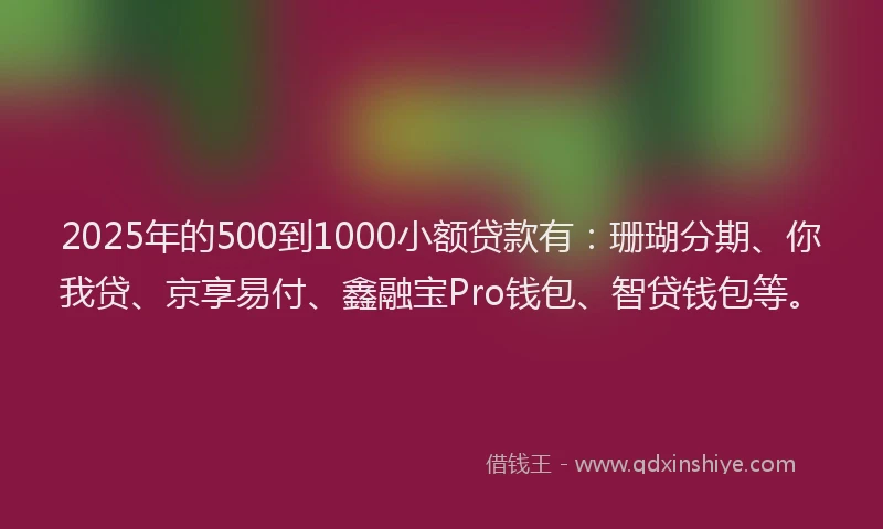 2025年的500到1000小额贷款有：珊瑚分期、你我贷、京享易付、鑫融宝Pro钱包、智贷钱包等。