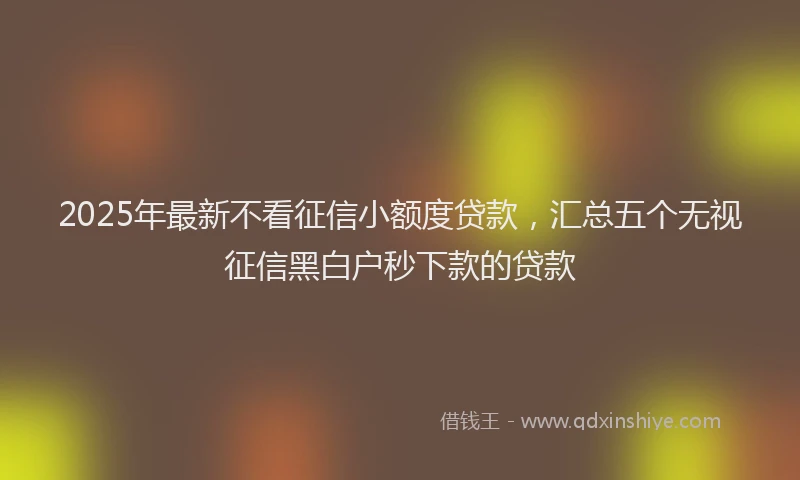 2025年最新不看征信小额度贷款，汇总五个无视征信黑白户秒下款的贷款