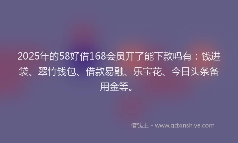 2025年的58好借168会员开了能下款吗有：钱进袋、翠竹钱包、借款易融、乐宝花、今日头条备用金等。